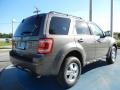 Sterling Gray Metallic - Escape XLT Photo No. 3