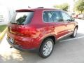 Wild Cherry Metallic - Tiguan SE Photo No. 7