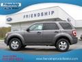 2012 Sterling Gray Metallic Ford Escape XLT  photo #1