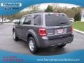 Sterling Gray Metallic - Escape XLT Photo No. 6