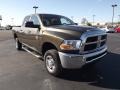 Sagebrush Pearl - Ram 2500 HD ST Crew Cab 4x4 Photo No. 3