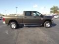 Sagebrush Pearl - Ram 2500 HD ST Crew Cab 4x4 Photo No. 4