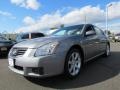 2008 Precision Gray Metallic Nissan Maxima 3.5 SE  photo #1