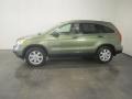 2009 Green Tea Metallic Honda CR-V EX 4WD  photo #3