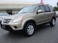 Sahara Sand Metallic - CR-V SE 4WD Photo No. 7