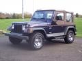 1997 Dark Blue Pearl Jeep Wrangler Sport 4x4 #55488037