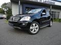 Black - ML 350 4Matic Photo No. 1