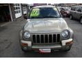 Light Khaki Metallic - Liberty Limited 4x4 Photo No. 2