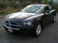 Brilliant Black Crystal Pearl - Charger SE Photo No. 1