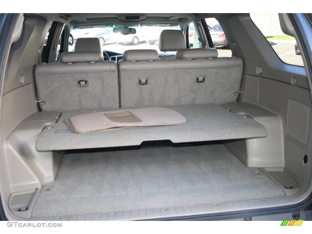 2004 4Runner Limited 4x4 - Galactic Gray Mica / Taupe photo #18
