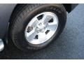 2004 Galactic Gray Mica Toyota 4Runner Limited 4x4  photo #22