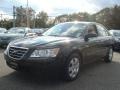 Ebony Black - Sonata GLS Photo No. 3