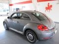 Platinum Gray Metallic - Beetle 2.5L Photo No. 2