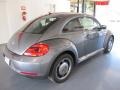 Platinum Gray Metallic - Beetle 2.5L Photo No. 4