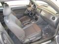 Platinum Gray Metallic - Beetle 2.5L Photo No. 8