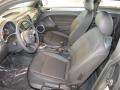 Platinum Gray Metallic - Beetle 2.5L Photo No. 11