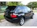 2006 Jet Black BMW X5 4.4i  photo #9