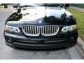 2006 Jet Black BMW X5 4.4i  photo #19
