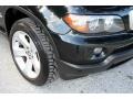 2006 Jet Black BMW X5 4.4i  photo #21