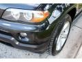 2006 Jet Black BMW X5 4.4i  photo #22