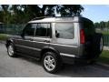 Bonatti Grey Metallic - Discovery SE Photo No. 6