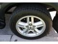 Bonatti Grey Metallic - Discovery SE Photo No. 32