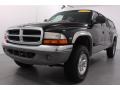 2000 Black Dodge Dakota SLT Crew Cab 4x4  photo #1