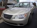 Camel Pearl - Sonata GLS Photo No. 1