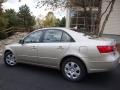 Camel Pearl - Sonata GLS Photo No. 4