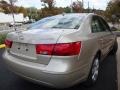 Camel Pearl - Sonata GLS Photo No. 8