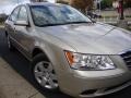 Camel Pearl - Sonata GLS Photo No. 9