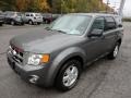 2009 Sterling Grey Metallic Ford Escape XLT 4WD  photo #3