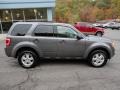 2009 Sterling Grey Metallic Ford Escape XLT 4WD  photo #7