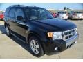 2009 Black Ford Escape Limited V6  photo #8