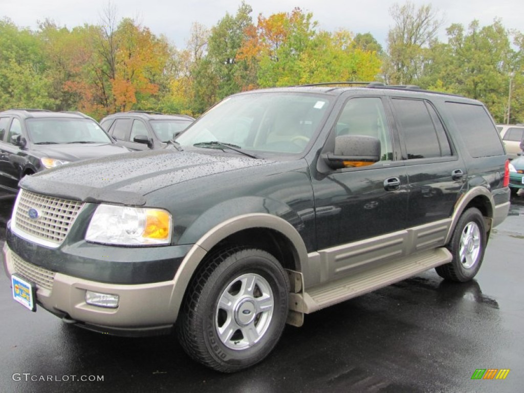 2003 Expedition Eddie Bauer 4x4 - Aspen Green Metallic / Medium Parchment photo #1