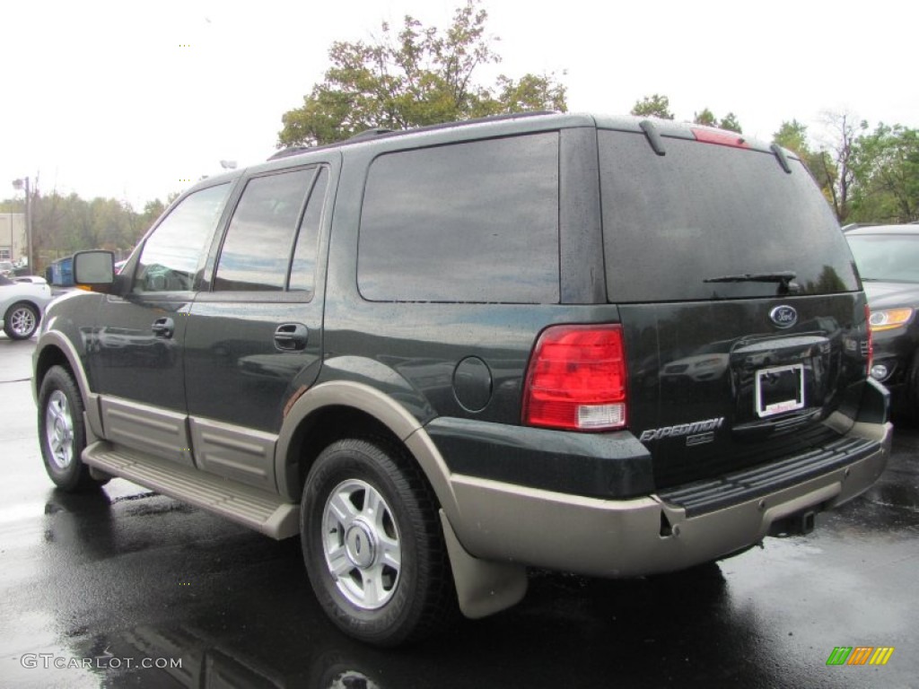 2003 Expedition Eddie Bauer 4x4 - Aspen Green Metallic / Medium Parchment photo #2