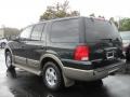 2003 Aspen Green Metallic Ford Expedition Eddie Bauer 4x4  photo #2