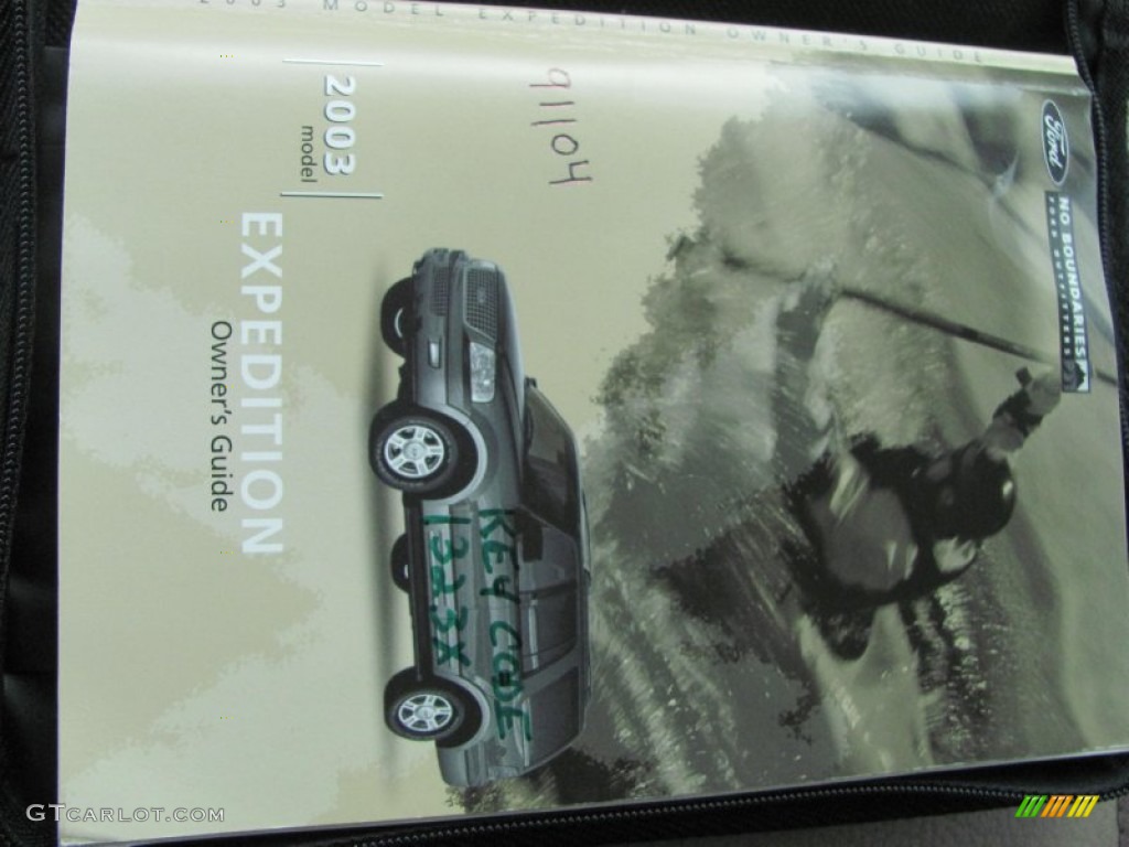 2003 Expedition Eddie Bauer 4x4 - Aspen Green Metallic / Medium Parchment photo #4