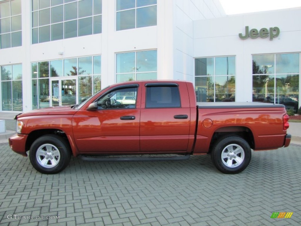 Sunburst Orange Pearl 2008 Dodge Dakota SLT Crew Cab Exterior Photo #55535174