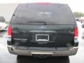 2003 Aspen Green Metallic Ford Expedition Eddie Bauer 4x4  photo #16