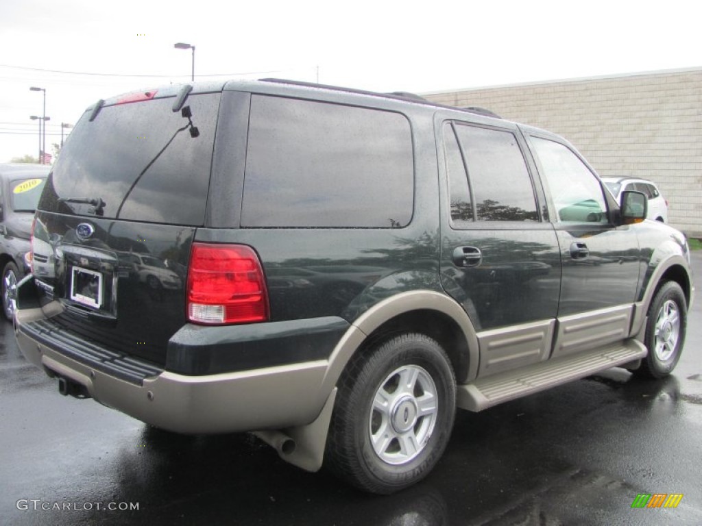 2003 Expedition Eddie Bauer 4x4 - Aspen Green Metallic / Medium Parchment photo #17