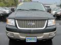 2003 Aspen Green Metallic Ford Expedition Eddie Bauer 4x4  photo #20