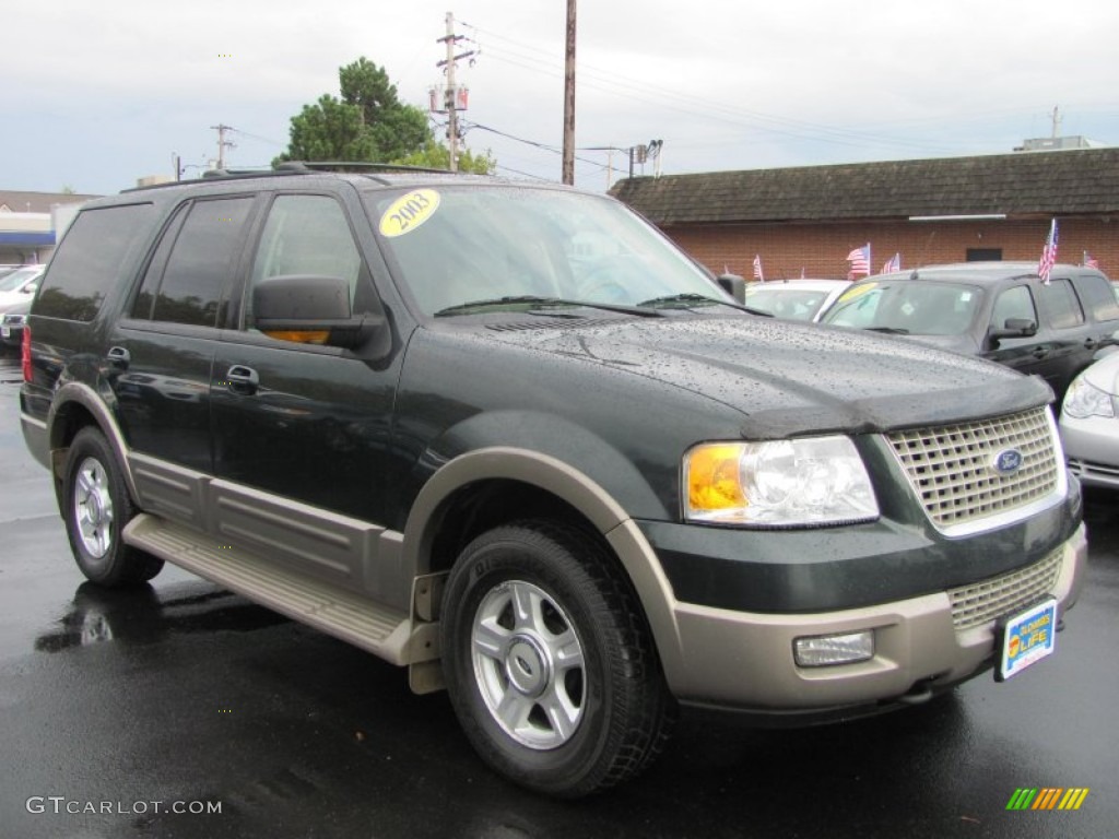 2003 Expedition Eddie Bauer 4x4 - Aspen Green Metallic / Medium Parchment photo #21