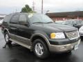 2003 Aspen Green Metallic Ford Expedition Eddie Bauer 4x4  photo #21