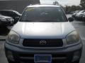 Titanium Metallic - RAV4 4WD Photo No. 15