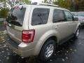 Gold Leaf Metallic 2012 Ford Escape Limited 4WD Exterior