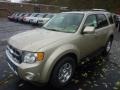 2012 Gold Leaf Metallic Ford Escape Limited 4WD  photo #5