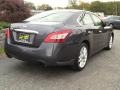 Dark Slate Metallic - Maxima 3.5 S Photo No. 4