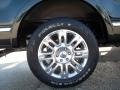 2011 Tuxedo Black Metallic Ford F150 Platinum SuperCrew  photo #4