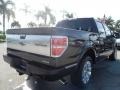 2011 Tuxedo Black Metallic Ford F150 Platinum SuperCrew  photo #6